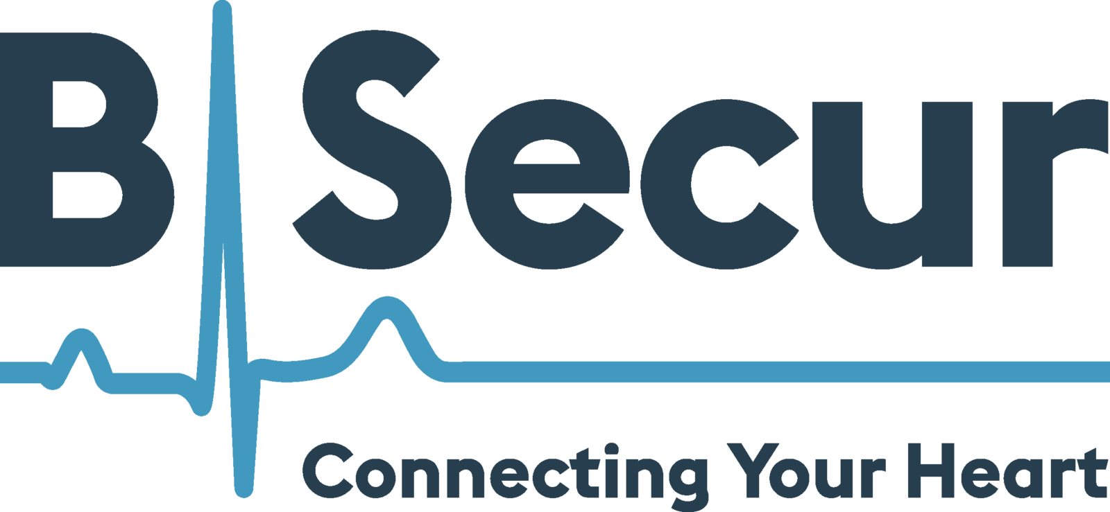 BSecurLogo